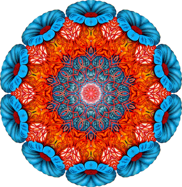 Free Gerbera Flower Petal Circle Clipart Clipart Transparent Background