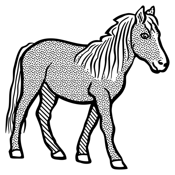 Free Zebra Horse Black And White Mane Clipart Clipart Transparent Background