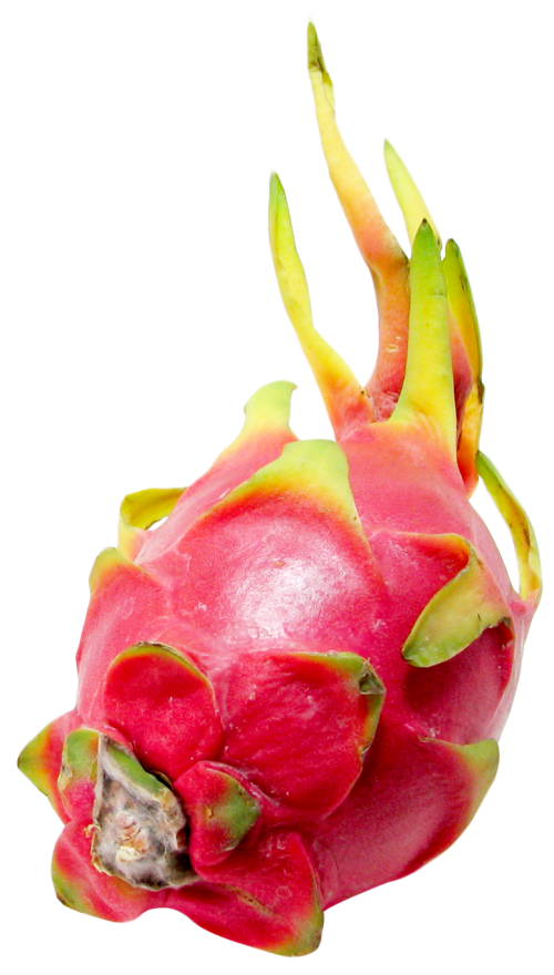 Free Fruit Fruit Pitaya Food Clipart Clipart Transparent Background