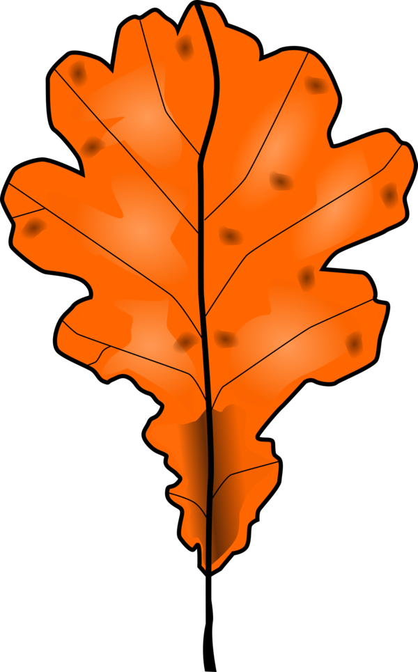 Free Autumn Leaf Tree Woody Plant Clipart Clipart Transparent Background