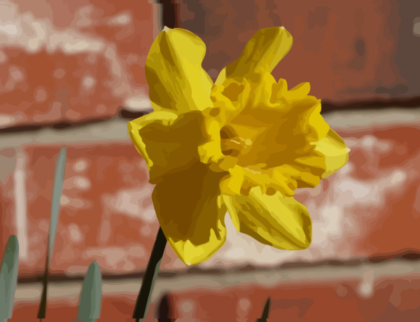 Free Spring Flower Flora Plant Clipart Clipart Transparent Background