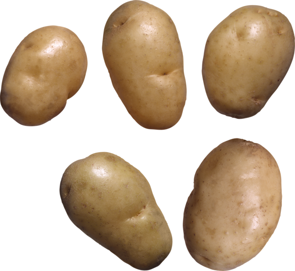 Free Vegetable Root Vegetable Potato Russet Burbank Potato Clipart Clipart Transparent Background