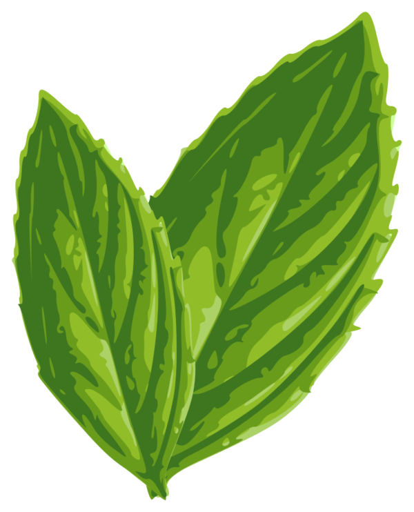 Free Herb Leaf Plant Leaf Vegetable Clipart Clipart Transparent Background
