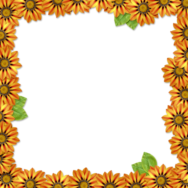 Free Sunflower Flower Leaf Picture Frame Clipart Clipart Transparent Background