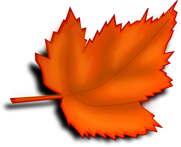 Free Autumn Leaf Maple Leaf Flower Clipart Clipart Transparent Background