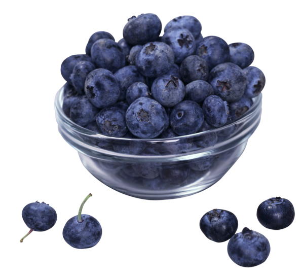 Free Tea Fruit Blueberry Berry Clipart Clipart Transparent Background