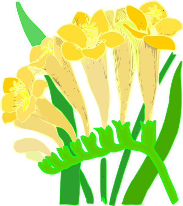 Free Family Flower Text Flora Clipart Clipart Transparent Background