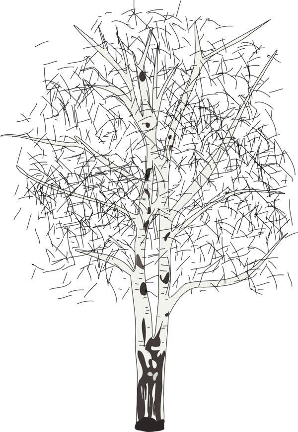 Free Tree Tree Black And White Branch Clipart Clipart Transparent Background