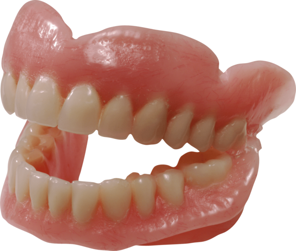 Free Dentist Jaw Tooth Mouth Clipart Clipart Transparent Background