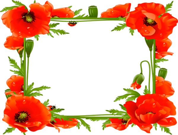 Free Fruit Flower Cut Flowers Vegetable Clipart Clipart Transparent Background