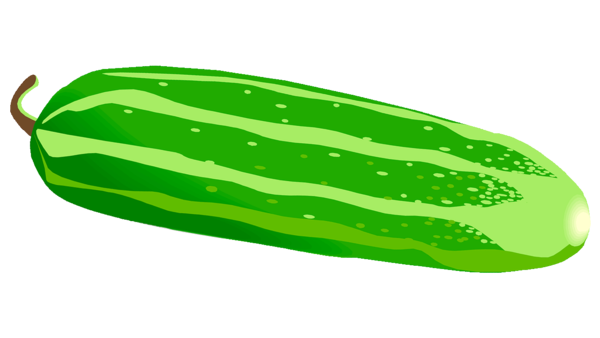 Free Winter Vegetable Cucumber Melon Clipart Clipart Transparent Background