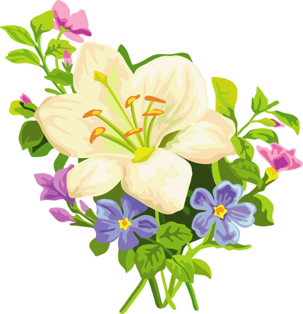 Free Lily Flower Plant Cut Flowers Clipart Clipart Transparent Background