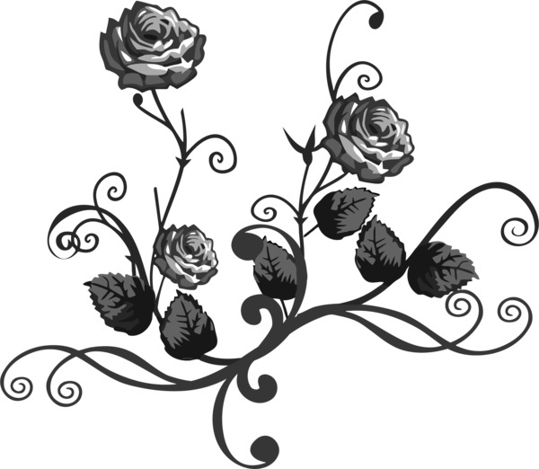 Free Fruit Flower Black And White Flora Clipart Clipart Transparent Background