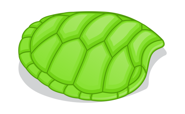 Free Turtle Turtle Tortoise Personal Protective Equipment Clipart Clipart Transparent Background