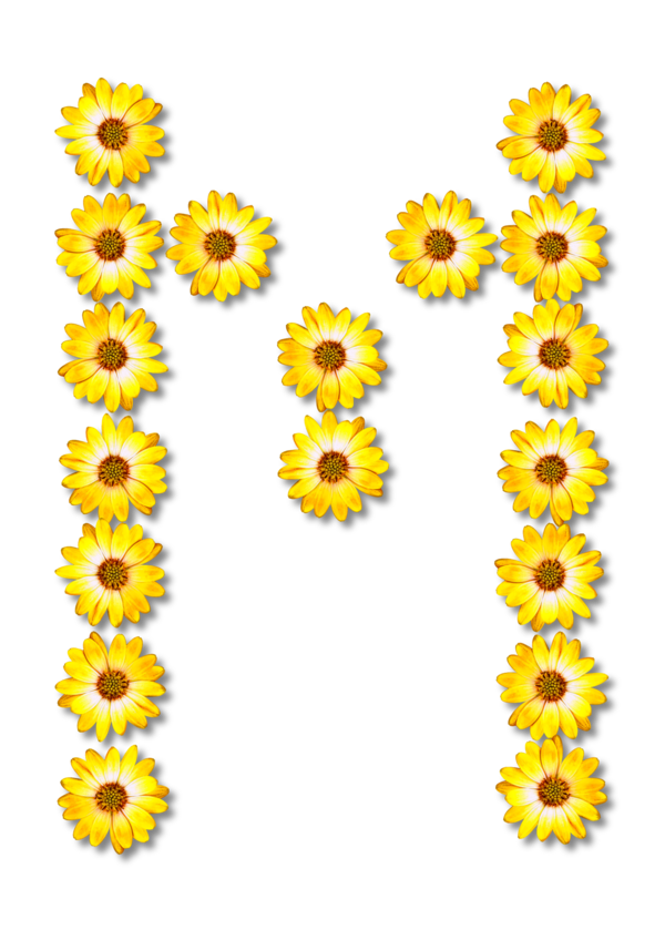 Free Sunflower Flower Sunflower Petal Clipart Clipart Transparent Background