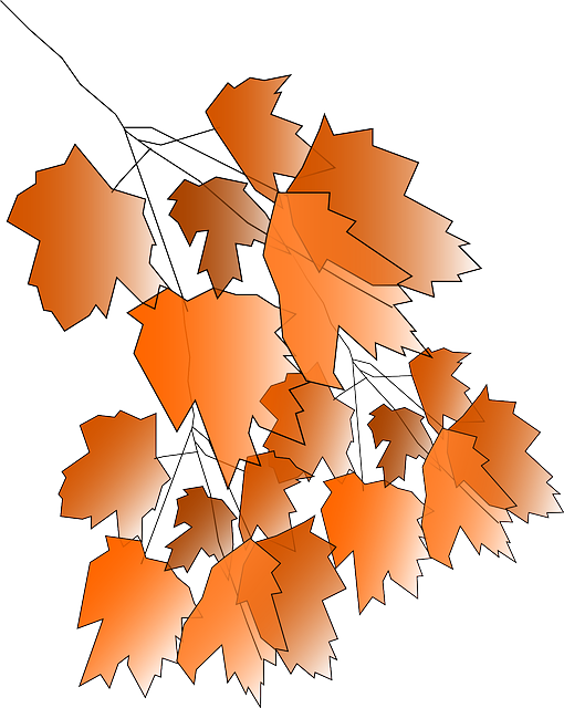 Free Autumn Leaf Tree Maple Leaf Clipart Clipart Transparent Background