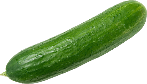 Free Summer Vegetable Cucumber Cucumis Clipart Clipart Transparent Background