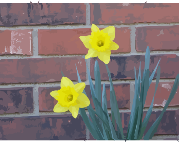 Free Spring Flower Plant Flora Clipart Clipart Transparent Background