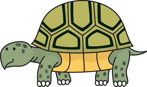 Free Turtle Tortoise Turtle Reptile Clipart Clipart Transparent Background