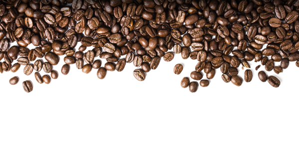 Free Coffee Seed Commodity Clipart Clipart Transparent Background
