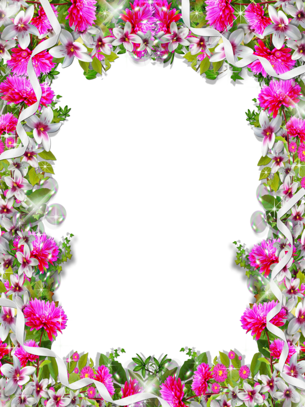 Free Spring Flower Flora Petal Clipart Clipart Transparent Background