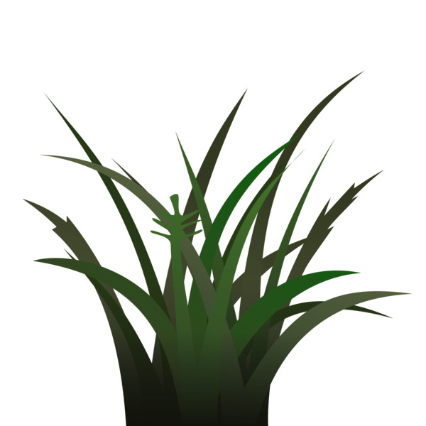 Free Tree Plant Leaf Grass Clipart Clipart Transparent Background