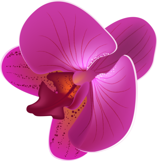 Free Orchid Flower Violet Magenta Clipart Clipart Transparent Background