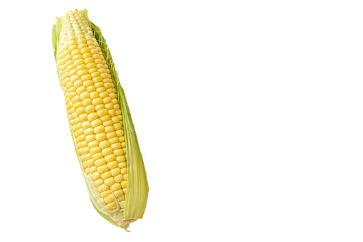 Free Fruit Sweet Corn Corn On The Cob Vegetarian Food Clipart Clipart Transparent Background