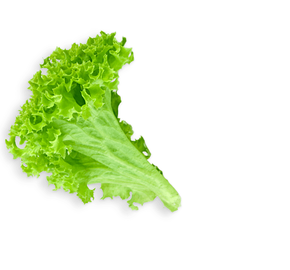 Free Spring Leaf Vegetable Vegetable Lettuce Clipart Clipart Transparent Background