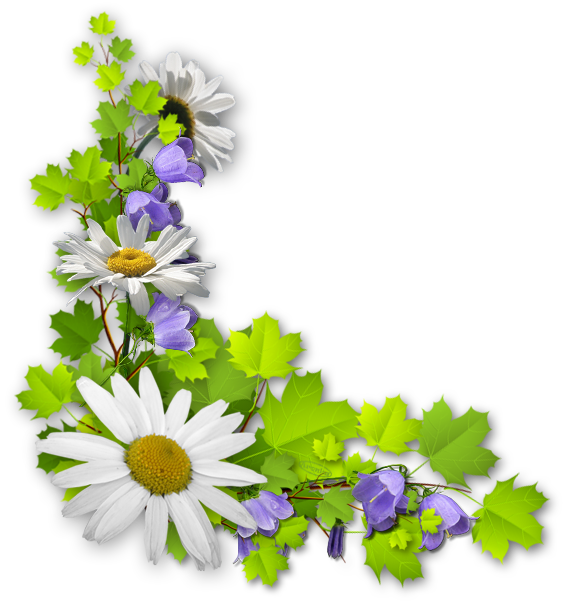 Free Spring Flower Plant Daisy Clipart Clipart Transparent Background