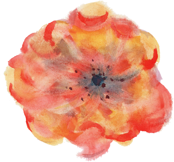 Free Family Flower Petal Peach Clipart Clipart Transparent Background