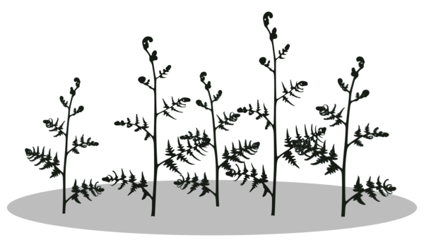 Free Leaf Flora Black And White Flower Clipart Clipart Transparent Background