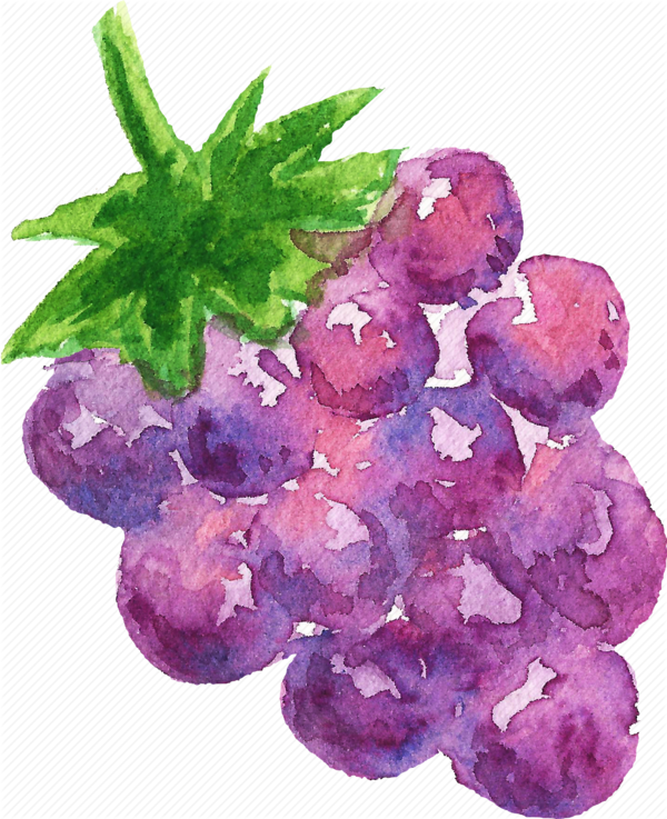Free Family Violet Fruit Berry Clipart Clipart Transparent Background