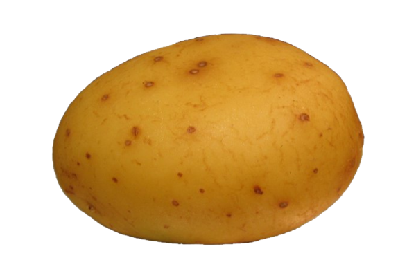 Free Vegetable Root Vegetable Potato Yukon Gold Potato Clipart Clipart Transparent Background