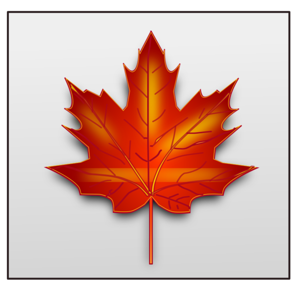 Free Leaf Maple Leaf Leaf Tree Clipart Clipart Transparent Background