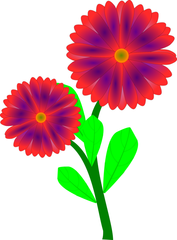 Free Gerbera Flower Petal Plant Clipart Clipart Transparent Background