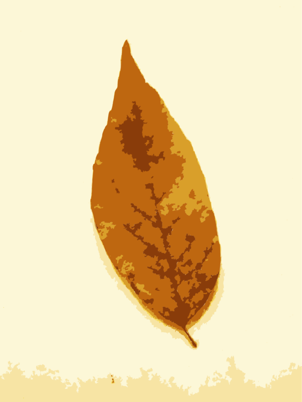 Free Autumn Leaf Tree Clipart Clipart Transparent Background