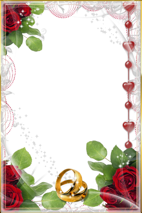 Free Rose Flower Flora Picture Frame Clipart Clipart Transparent Background