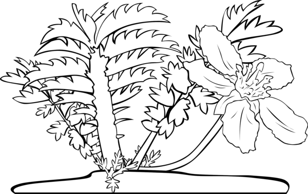Free Book Flower Black And White Plant Clipart Clipart Transparent Background