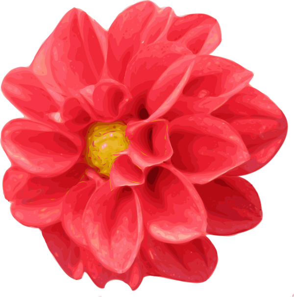 Free Rose Flower Dahlia Petal Clipart Clipart Transparent Background