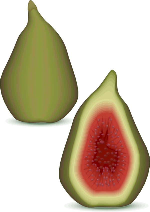 Free Fruit Fruit Food Melon Clipart Clipart Transparent Background