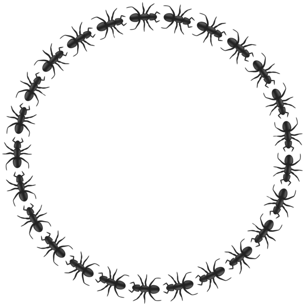 Free Tree Black And White Circle Line Clipart Clipart Transparent Background