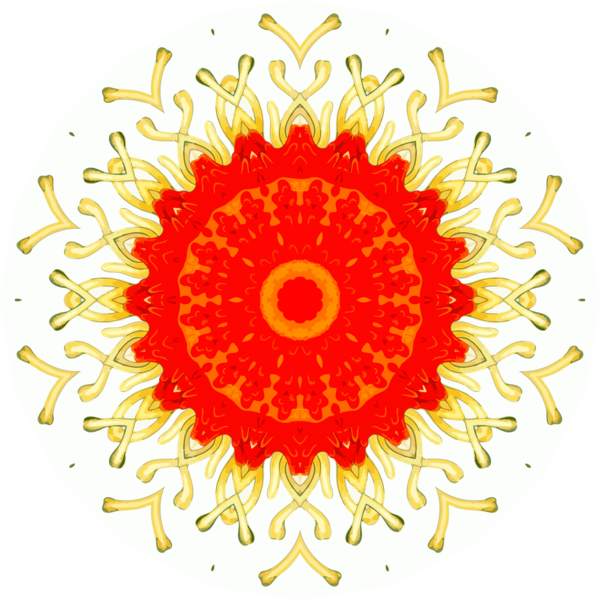 Free Sunflower Flower Text Circle Clipart Clipart Transparent Background