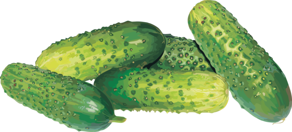 Free Vegetable Vegetable Cucumber Natural Foods Clipart Clipart Transparent Background