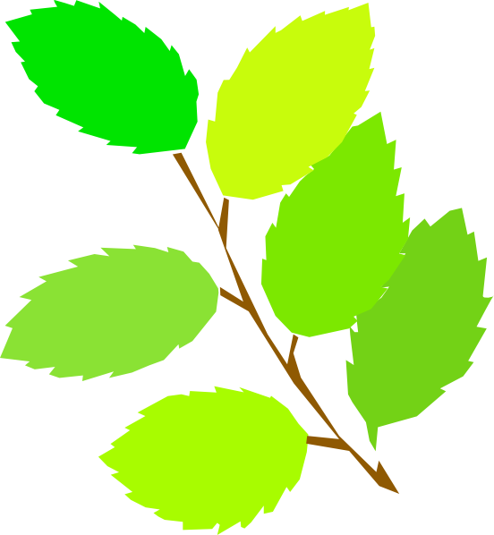 Free Tree Leaf Plant Branch Clipart Clipart Transparent Background