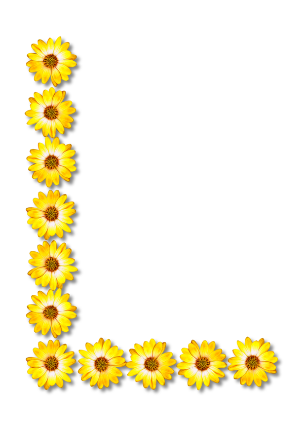 Free Sunflower Flower Sunflower Petal Clipart Clipart Transparent Background