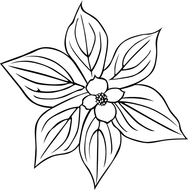 Free Leaf Flower Line Art Black And White Clipart Clipart Transparent Background