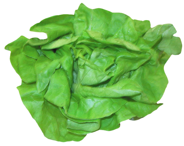 Free Spring Leaf Vegetable Vegetable Spinach Clipart Clipart Transparent Background