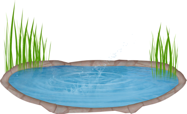 Free Grass Water Water Resources Grass Clipart Clipart Transparent Background