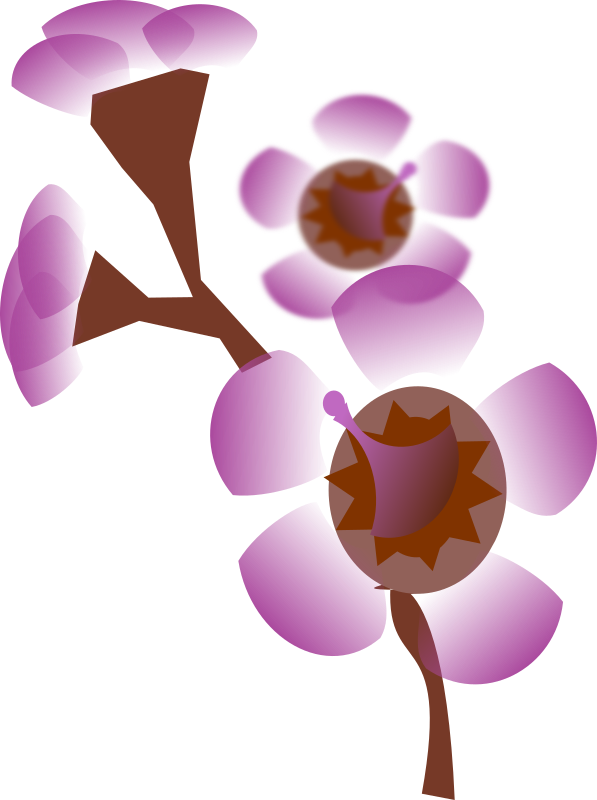 Free Orchid Flower Violet Lilac Clipart Clipart Transparent Background